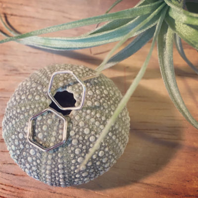2 hexagonal stud earrings sat on a sea urchin with an air plant in the background