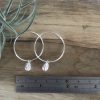 Silver Cowrie Hoops - showing size