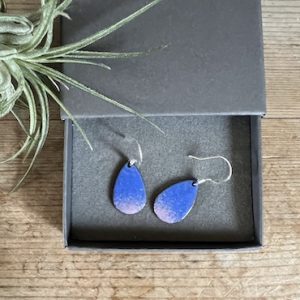 A grey gift box with a pair of blue and pink Emanuel earrings in t and an air plant resting on the left side of the image.